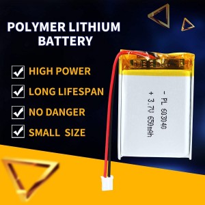 PKCELL LP603040 650mah 3.7v Rechargeable Lithium Polymer Battery  Wholesale Price Long Lifespan Lithium Polymer Battery
