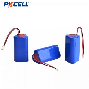 PKCELL 18650 11.1V 2000mAh Rechargeable Lithium Battery Pack