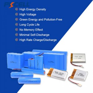 Customized Lithium Ion Battery Rechargeable Battery Pack